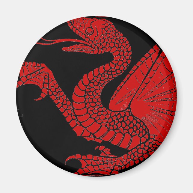 Dragon Magnet (Framsidan)