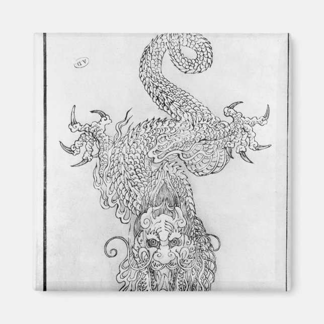 Dragon Magnet (Framsidan)