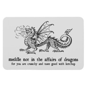 Dragon Magnet