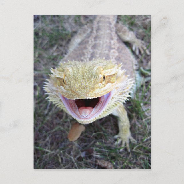 Dragon med bostad toppen Lycklig Vykort (Framsida)