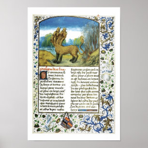 Dragon med sju huvuden, okänd poster