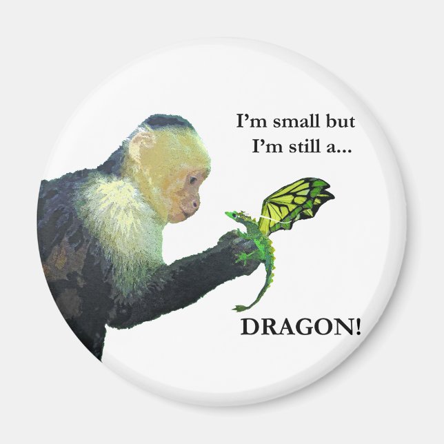 Dragon och Monkey Magnet (Framsidan)