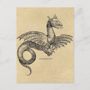 Dragon Parchment-vykort Vykort