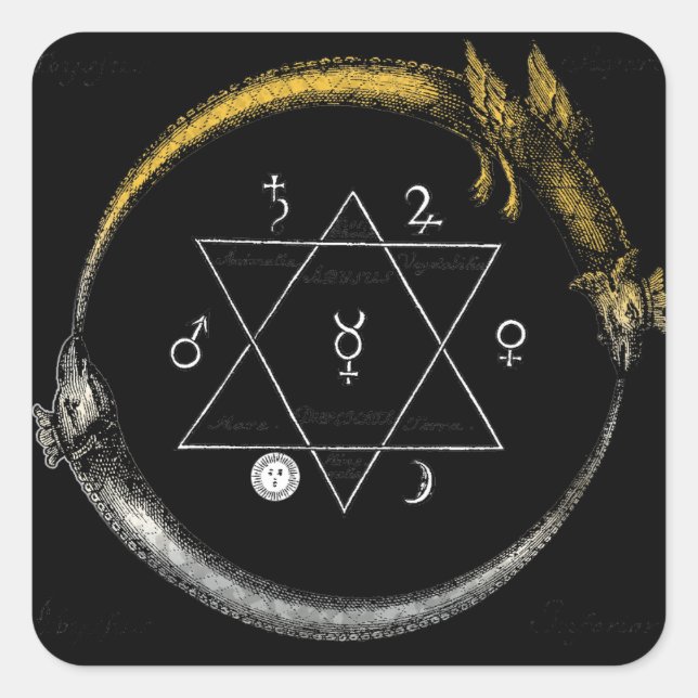 Dragon & Snake Ouroboros Fyrkantigt Klistermärke (Framsida)