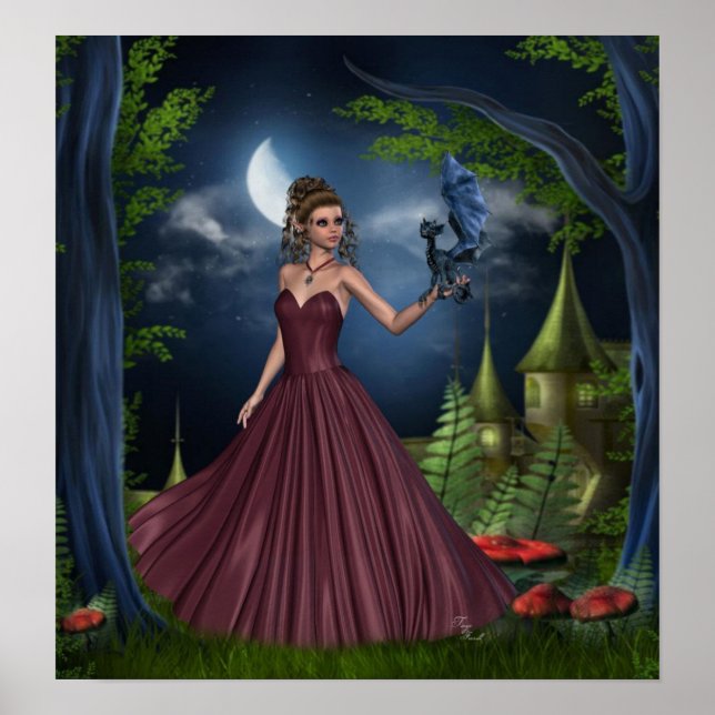 Dragon Tamer Poster (Framsidan)