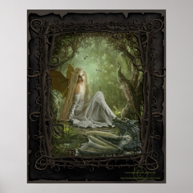 Dragon Tamer Poster (Framsidan)