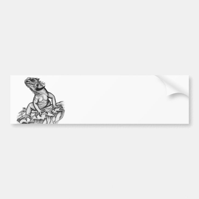 Dragon vid Sten Bildekal (Framsidan)