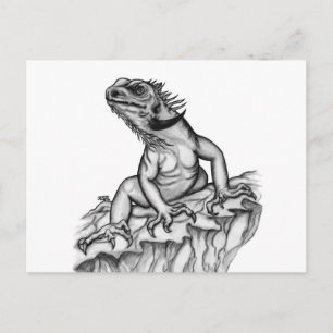 Dragon vid Sten Vykort
