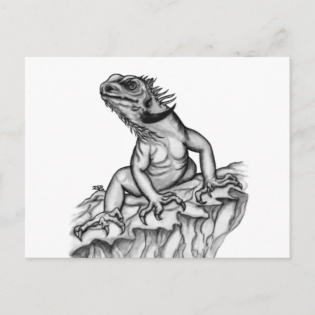 Dragon vid Sten Vykort (Framsida)