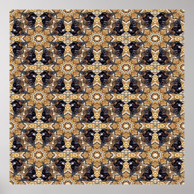 Dragoner..... Poster (Framsidan)