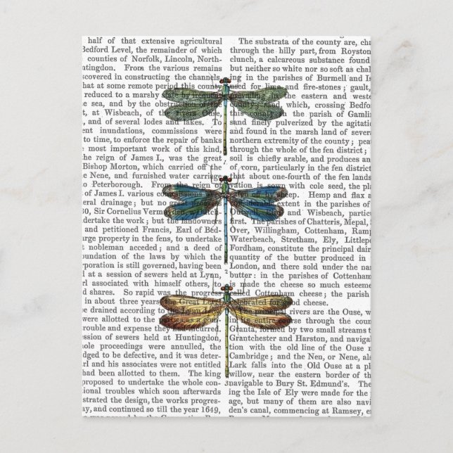 Dragonfiler Skriv ut 2 Vykort (Framsida)