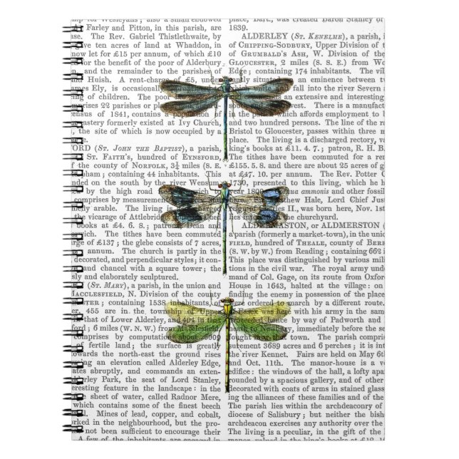 Dragonfiler Skriv ut 3 Anteckningsbok (Framsidan)