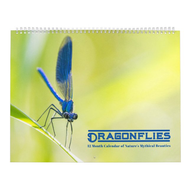 Dragonflies Calendar Kalender (Omslag)