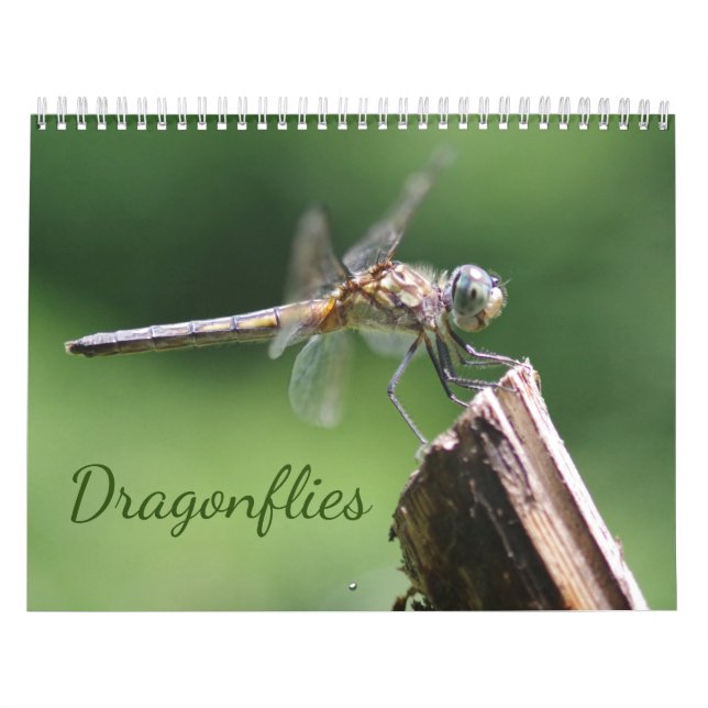 Dragonflies Calendar Kalender (Omslag)