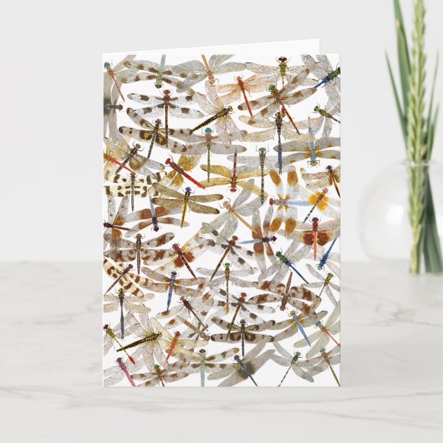 Dragonflies Galore! Kort för hälsning (Framsida)