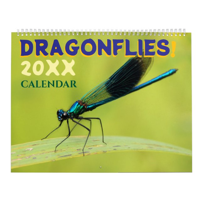 Dragonflies in Nature Wall Calendar Cute Kalender (Omslag)