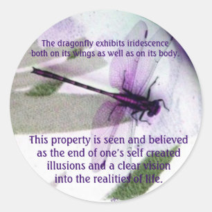 Dragonflies Irifallence Runt Klistermärke