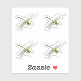Dragonflies Klistermärken