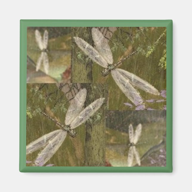 Dragonflies Magnet (Framsidan)