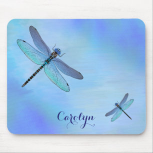 Dragonflies Mus mattor Musmatta
