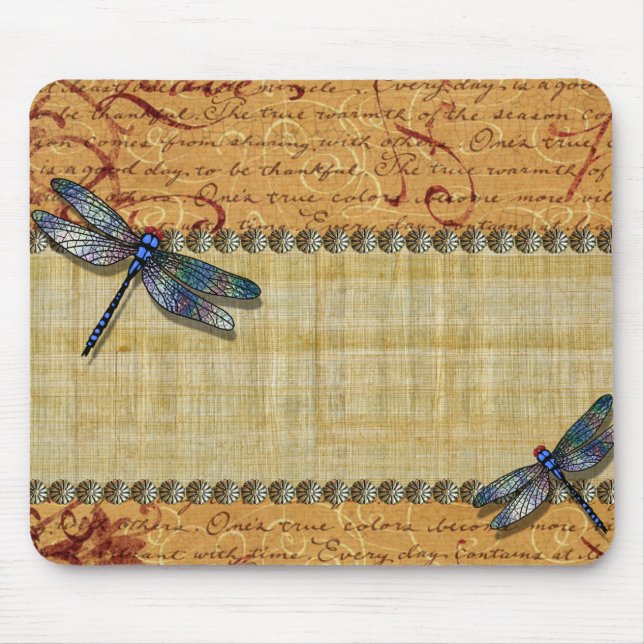 Dragonflies Musmatta (Framsidan)
