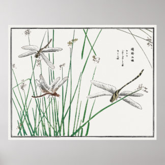 Dragonflies och Reed Grass by Morimoto Toko. Poster