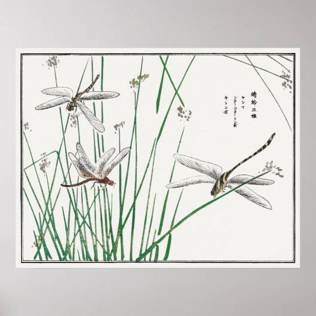 Dragonflies och Reed Grass by Morimoto Toko. Poster (Framsidan)
