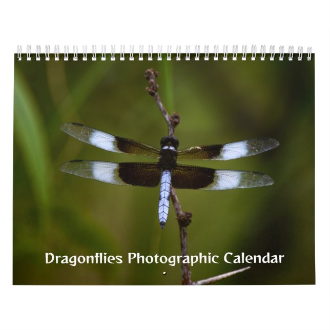 Dragonflies Photographic Calendar Kalender (Omslag)