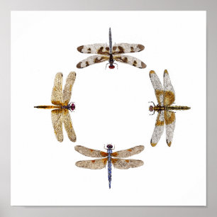 Dragonflies Poster II