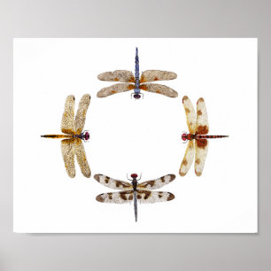 Dragonflies Poster III
