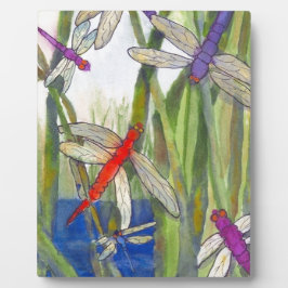 Dragonflies Summer