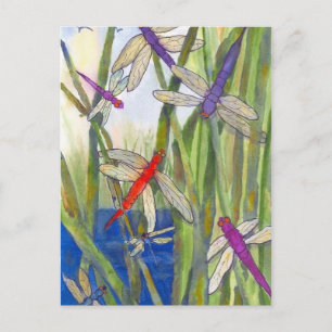 Dragonflies Summer Vykort