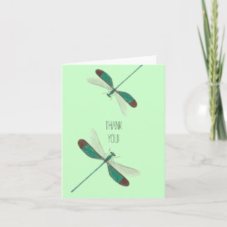 Dragonflies Tack Kort