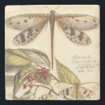 Dragonflugor med Löv och frukt Underlägg Sten<br><div class="desc">Dragonflugor flyter ovanför löv och bär frukt i biet av Vision Studio. Den insektra trion blandar häpnadsväckande väl med sin bakgrund och ge den här utskriften till en verklighetstrogen kvalitet. Beställ ditt exemplar idag!</div>