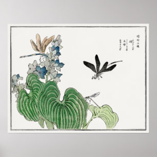 Dragonflugor på en Vatten-hyacint av Morimoto Toko Poster