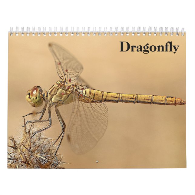 Dragonfly 2025 kalender (Omslag)