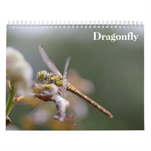 Dragonfly 2025 kalender (Omslag)