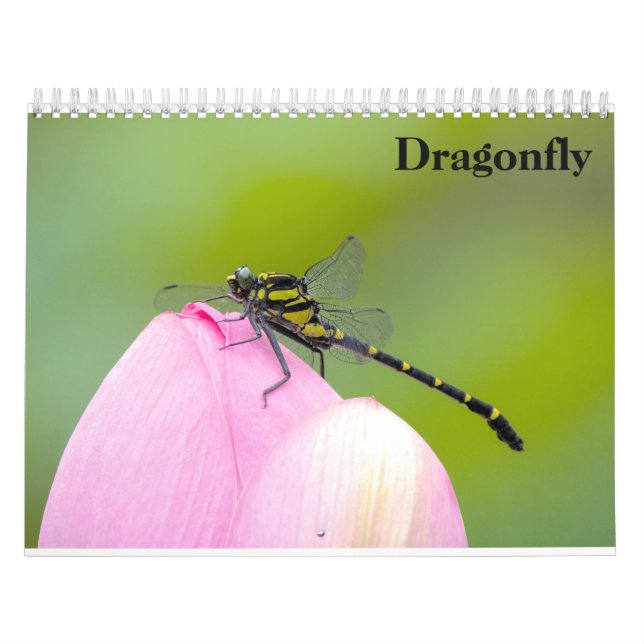 Dragonfly 2025-kalender kalender (Omslag)