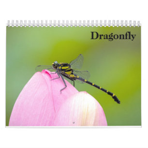 Dragonfly 2025-kalender kalender