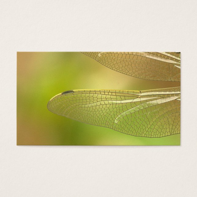 dragonfly-348433 Dronfly insekt animal vinge sum Visitkort (Framsidan)