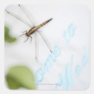 Dragonfly 4 fyrkantigt klistermärke