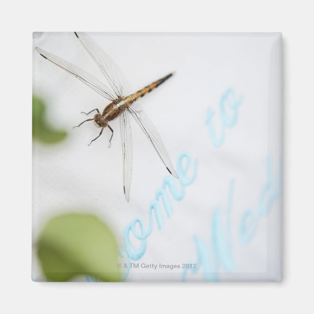 Dragonfly 4 magnet (Framsidan)