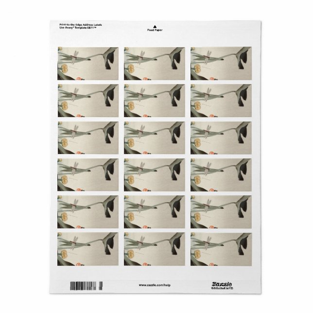 Dragonfly and Lotus, 1920 av Ohara Koson Adressetikett (Helt Ark)