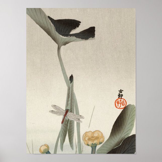 Dragonfly and Lotus, 1920 av Ohara Koson Poster (Framsidan)