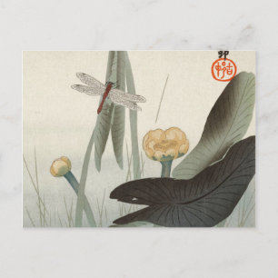 Dragonfly and Lotus, 1920 av Ohara Koson Vykort