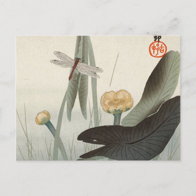 Dragonfly and Lotus, 1920 av Ohara Koson Vykort (Framsida)