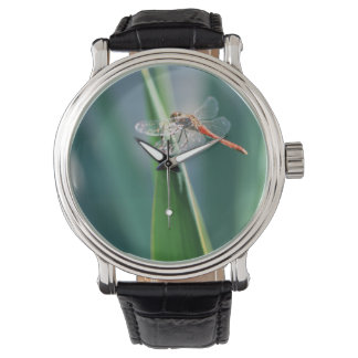 Dragonfly Armbandsur