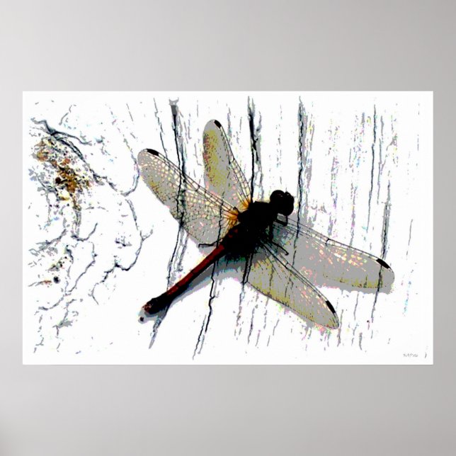 Dragonfly Art Photography Poster (Framsidan)