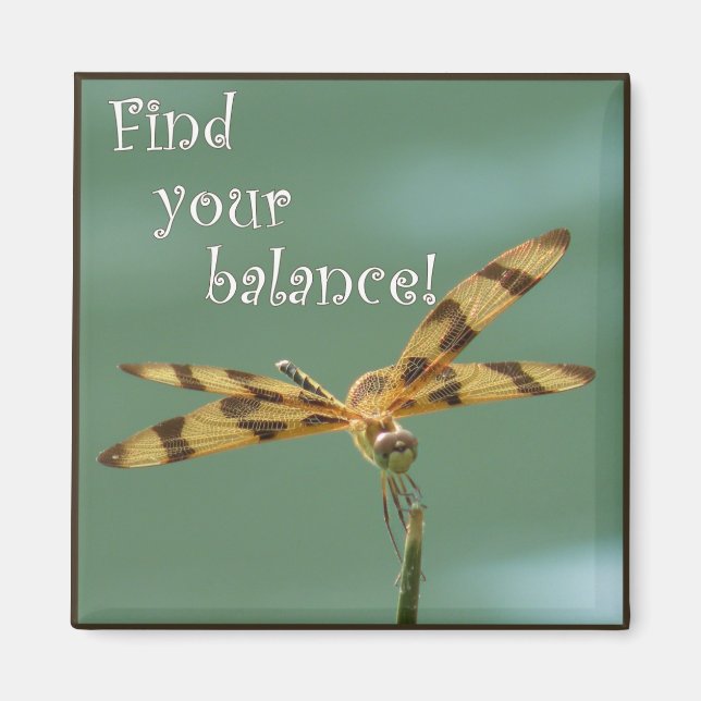 Dragonfly Balance Magnet (Framsidan)