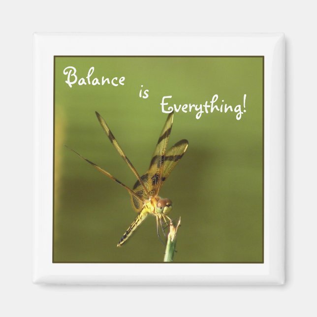 Dragonfly Balance Magnet 2 (Framsidan)